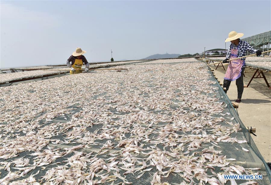 #CHINA-ANHUI-CHAOHU LAKE-FISHERY-PRODUCTION (CN)