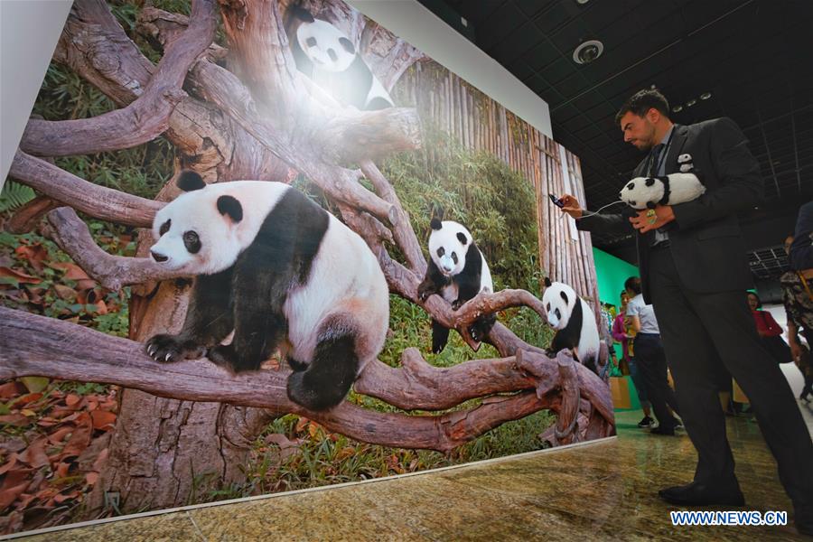CHINA-BEIJING-GIANT PANDA-INTERNATIONAL CULTURE WEEK (CN)