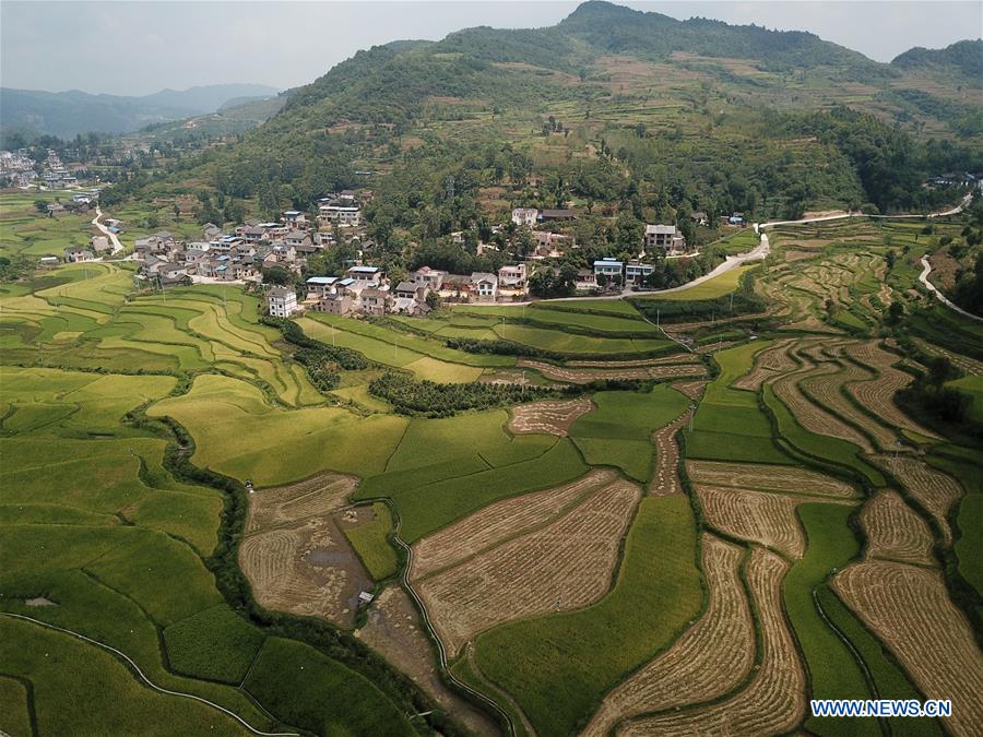 #CHINA-GUIZHOU-YUQING-FARMER-CHEN GANG (CN)