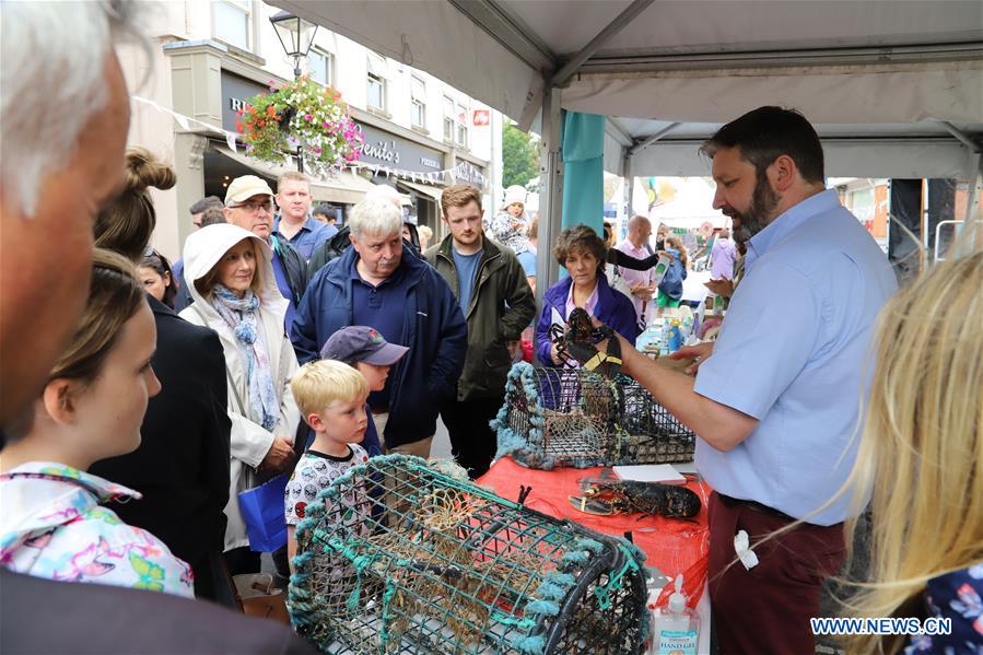 Dalkey Lobster Festival held in Ireland Xinhua English.news.cn