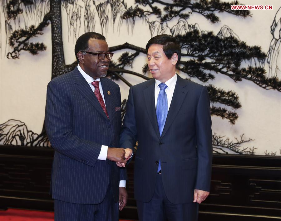 CHINA-BEIJING-LI ZHANSHU-NAMIBIAN PRESIDENT-MEETING (CN)