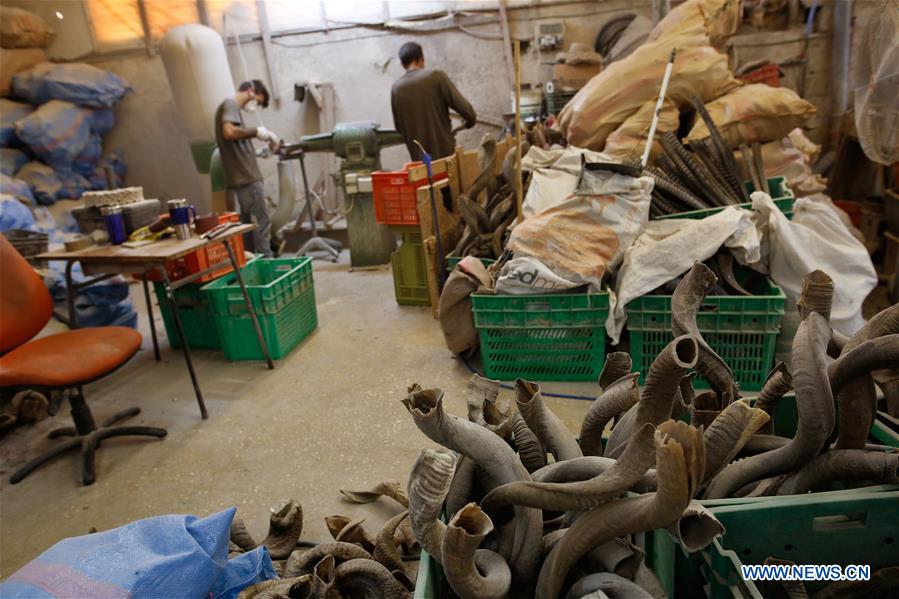 ISRAEL-TEL AVIV-HORN FACTORY