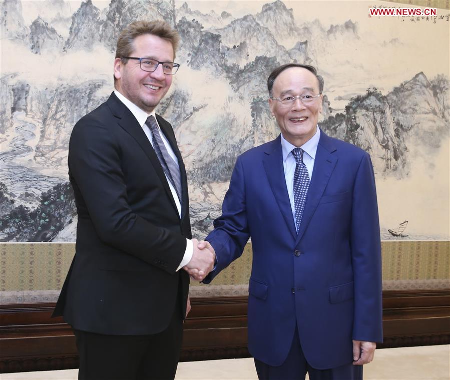 CHINA-BEIJING-WANG QISHAN-ICELAND FM-MEETING (CN)