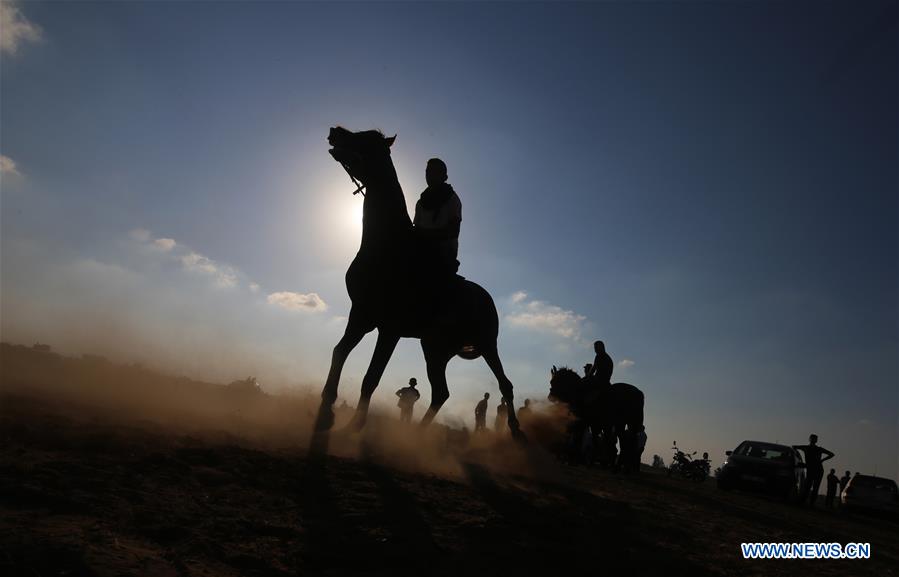 MIDEAST-GAZA STRIP-RAFAH-HORSE RACE