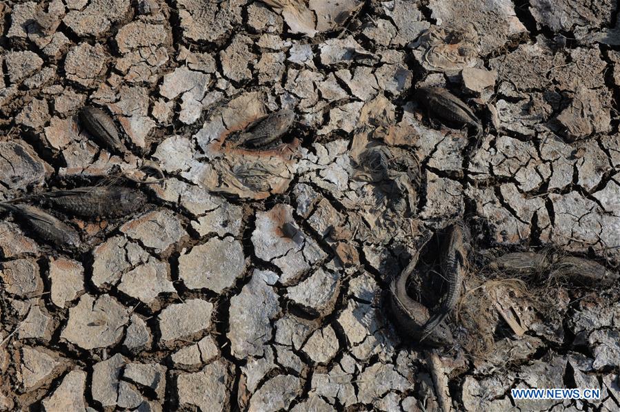 INDONESIA-WEST JAVA-SUMEDANG-DRY SEASON IN JATIGEDE RESERVOIR