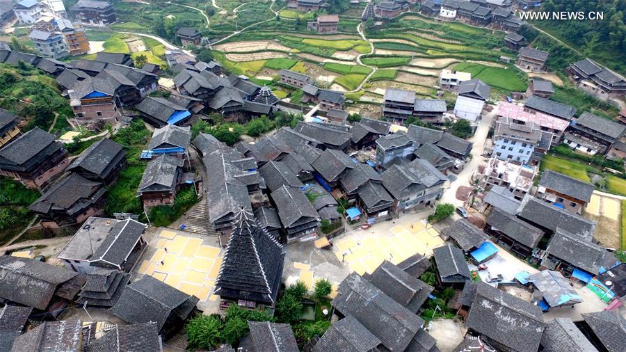 #CHINA-GUANGXI-SANJIANG-AGRICULTURE-GRAIN HARVEST (CN)