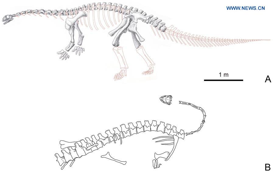 CHINA-YUNNAN-LUFENG-NEW DINOSAUR SPECIES-DISCOVERY (CN)
