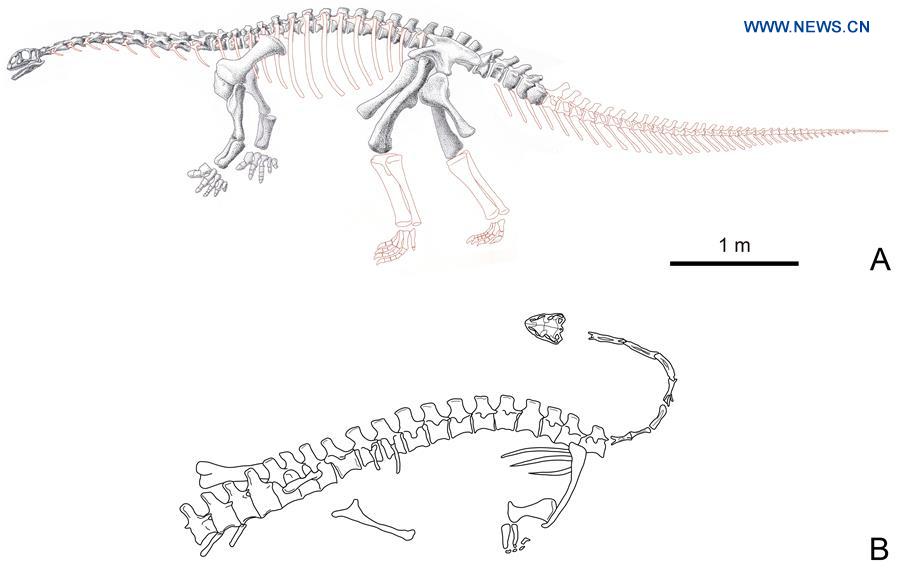 CHINA-YUNNAN-LUFENG-NEW DINOSAUR SPECIES-DISCOVERY (CN) 