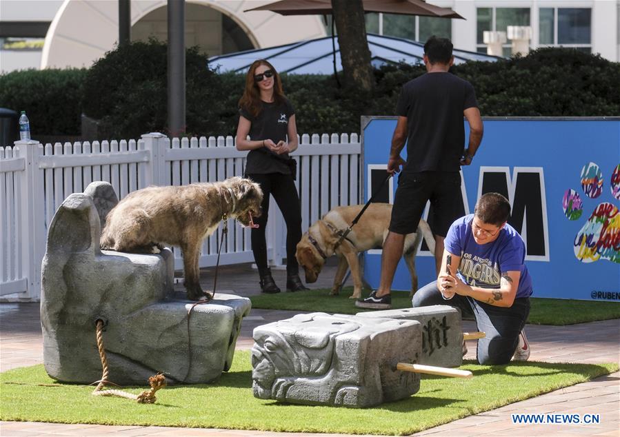 U.S.-LOS ANGELES-ART INSTALLATION-DOGUMENTA