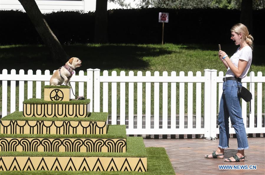 U.S.-LOS ANGELES-ART INSTALLATION-DOGUMENTA