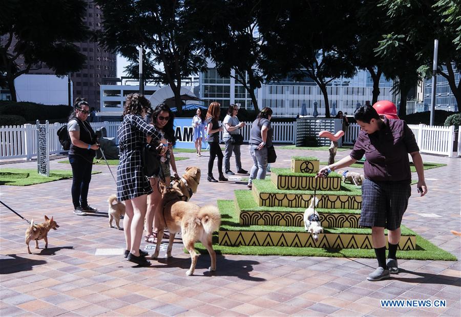 U.S.-LOS ANGELES-ART INSTALLATION-DOGUMENTA