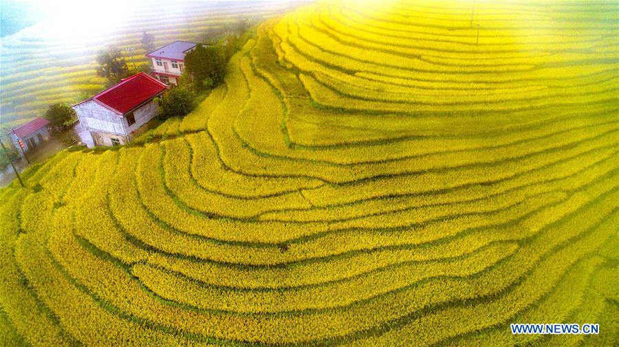 CHINA-SHAANXI-TERRACED FIELDS (CE)