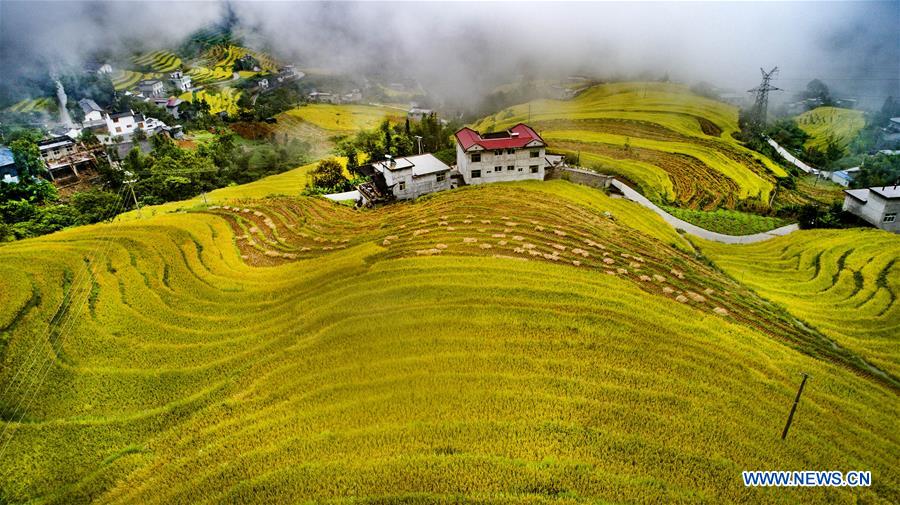 CHINA-SHAANXI-TERRACED FIELDS (CE)