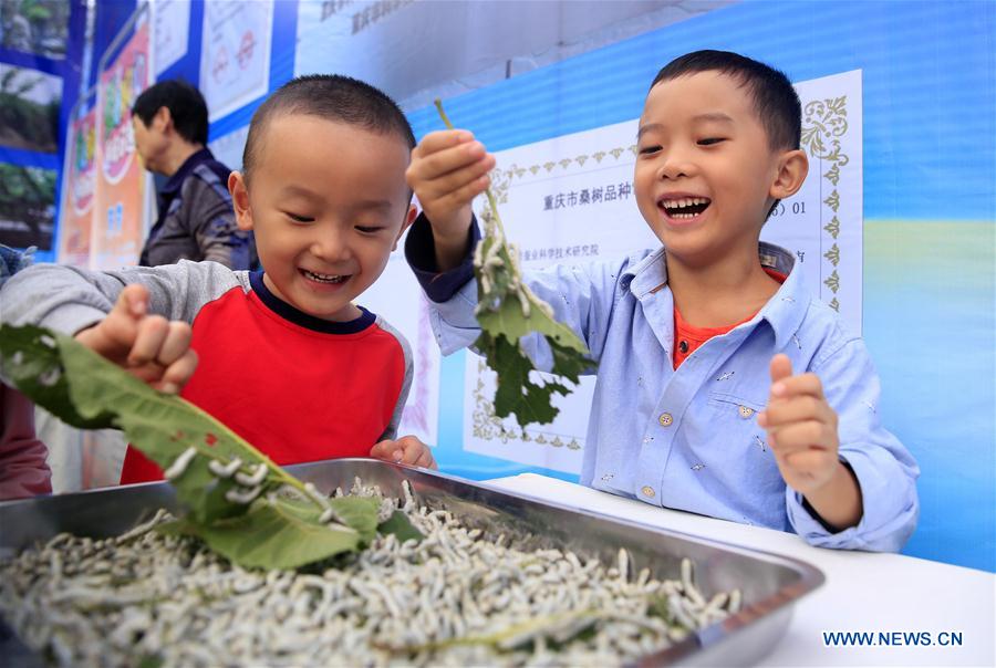 #CHINA-NATIONAL SCIENCE DAY-ACTIVITIES (CN)