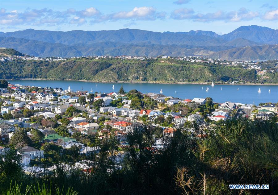 NEW ZEALAND-WELLINGTON-LONELY PLANET-BEST DESTINATION