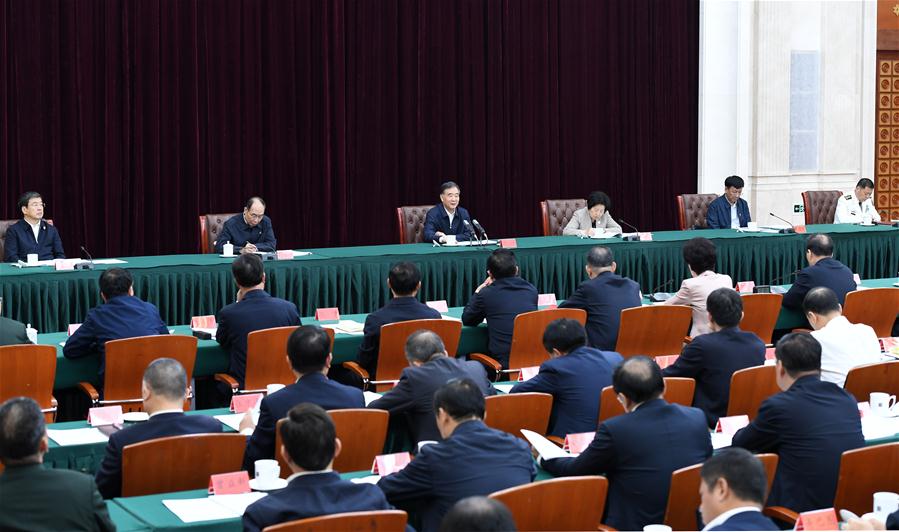 CHINA-NINGXIA-WANG YANG-WORK REPORT (CN)