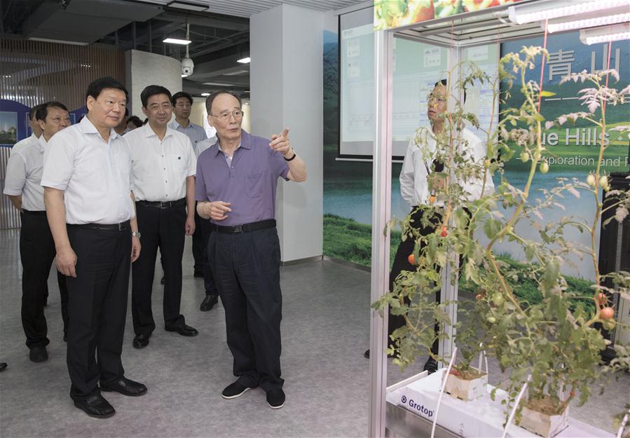 CHINA-WANG QISHAN-INSPECTION (CN)