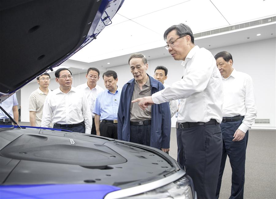 CHINA-WANG QISHAN-INSPECTION (CN)