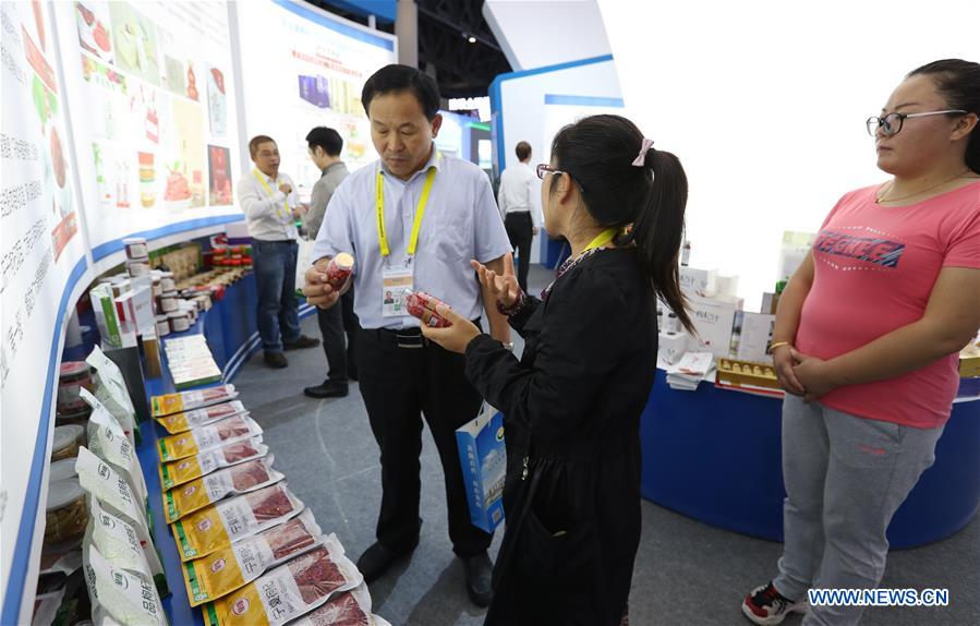 Xinhua Headlines: A more open western China embraces global opportunities