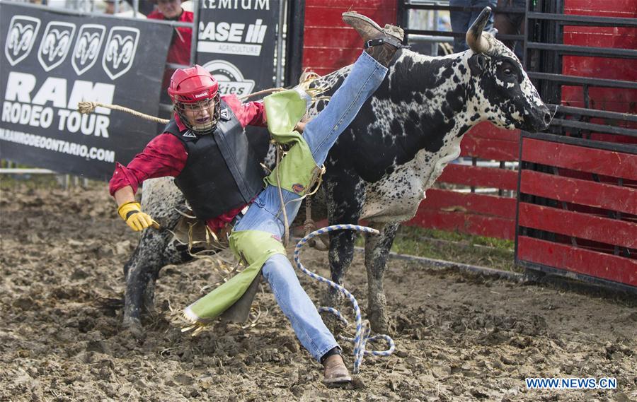 (SP)CANADA-ONTARIO-CHATHAM KENT-RODEO