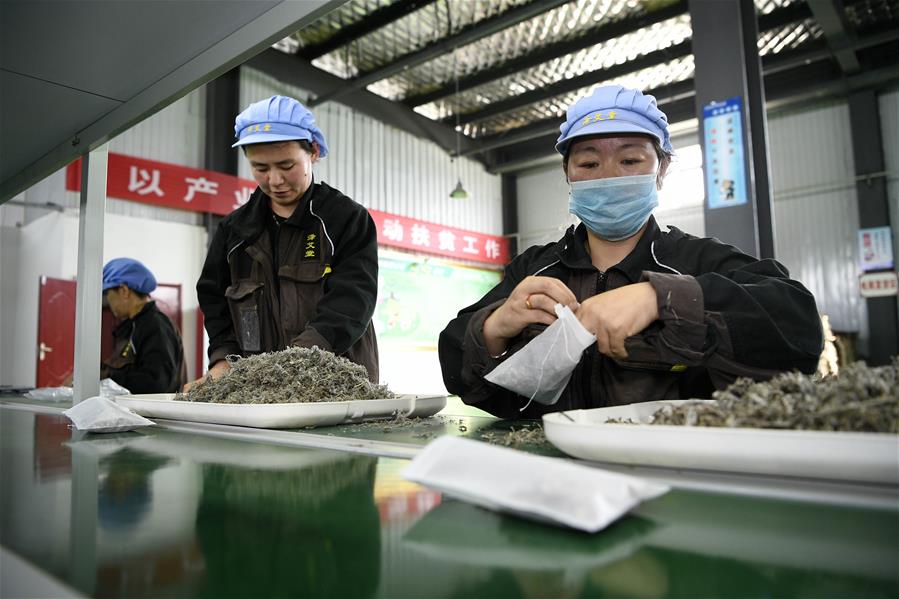 Xinhua Headlines: Poverty on the wane in uninhabitable Xihaigu