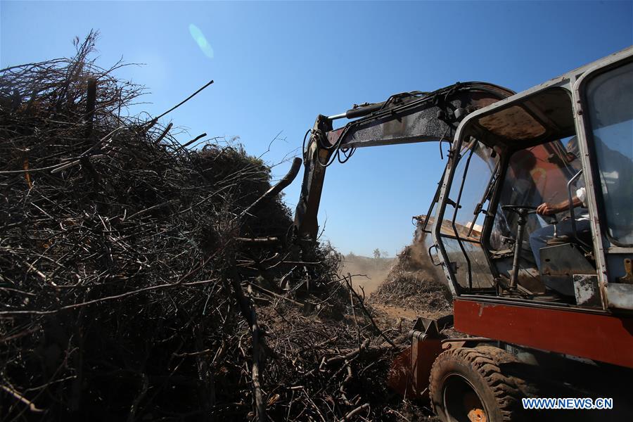 GREECE-MATI-WILDFIRE-TWO MONTHS