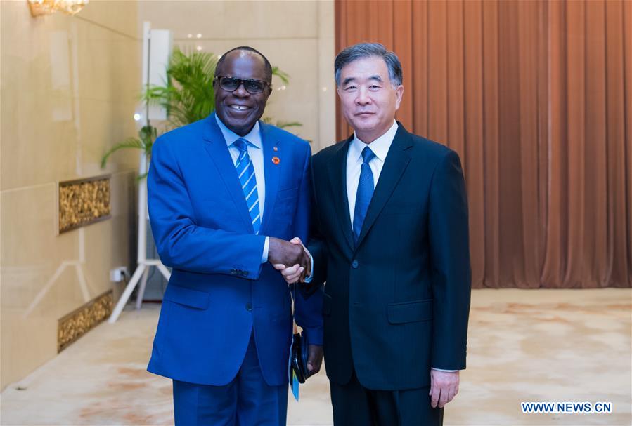 CHINA-BEIJING-WANG YANG-DR CONGO-GUEST-MEETING (CN)