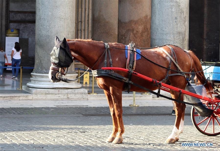 ITALY-ROME-HORSE-NEW RULE