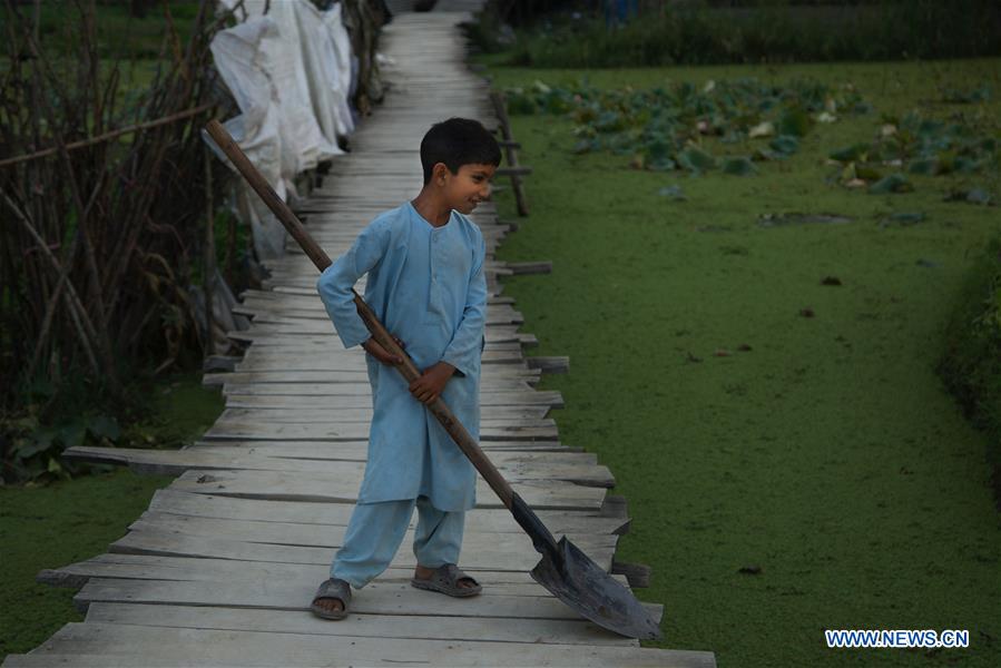 KASHMIR-SRINAGAR-DAILY LIFE