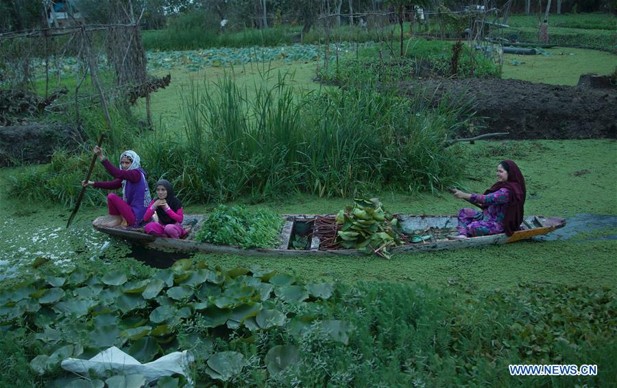 KASHMIR-SRINAGAR-DAILY LIFE