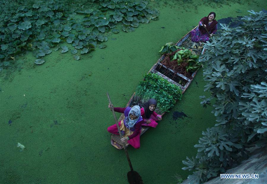 KASHMIR-SRINAGAR-DAILY LIFE