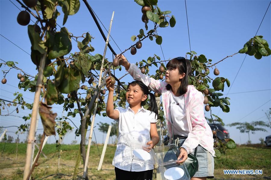 CHINA-ANHUI-ECOLOGICAL AGRICULTURE (CN)