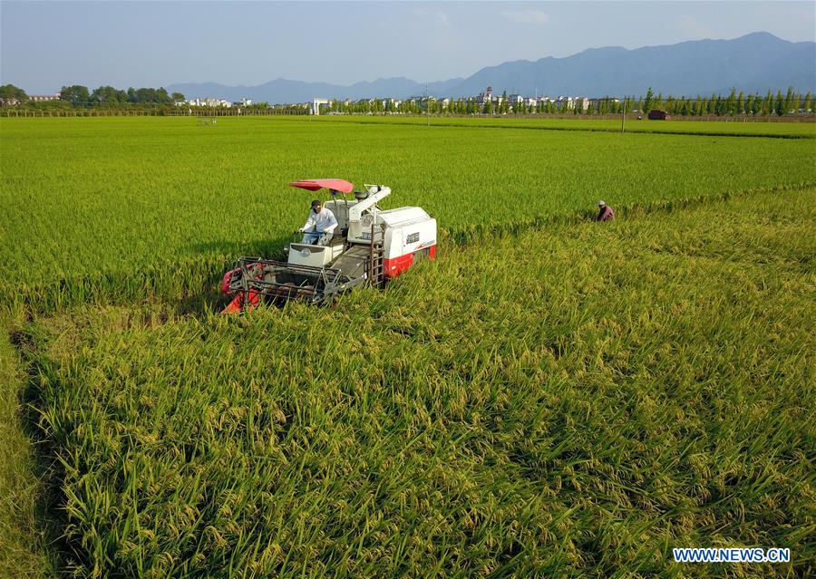 #CHINA-ZHEJIANG-FARMWORK (CN)
