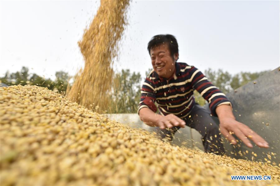 #CHINA-SHANDONG-FARMWORK (CN)