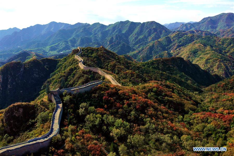 #CHINA-BEIJING-GREAT WALL-RED LEAVES(CN)