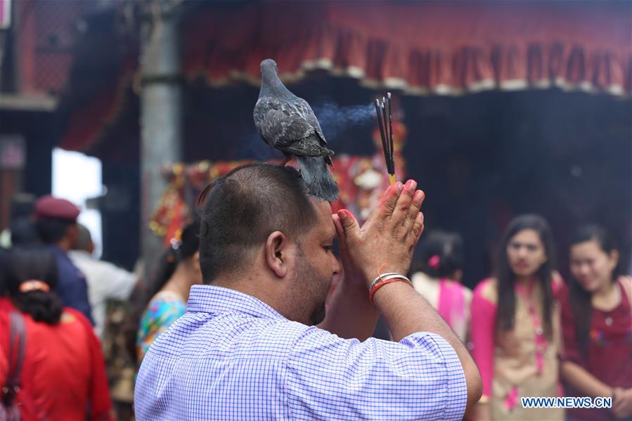 NEPAL-GORKHA-MANAKAMANA TEMPLE-DASHAIN FESTIVAL