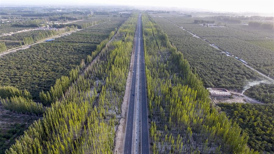 Xinhua Headlines: Man-made oasis: Xinjiang