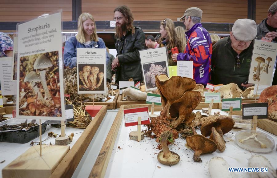 Vancouver Mushroom Show held in Canada Xinhua English.news.cn
