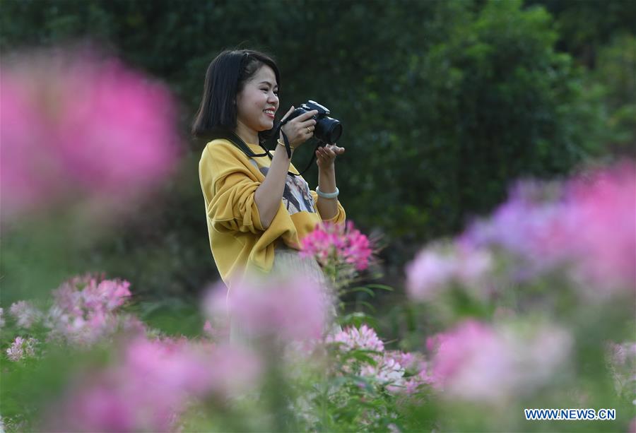 CHINA-FUJIAN-FLOWERS(CN)