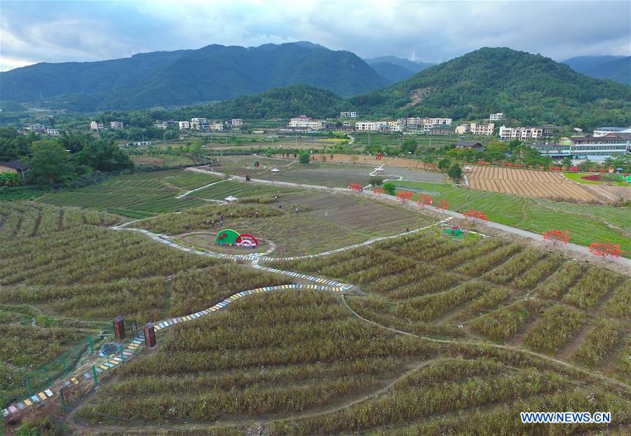CHINA-FUJIAN-FLOWERS(CN)