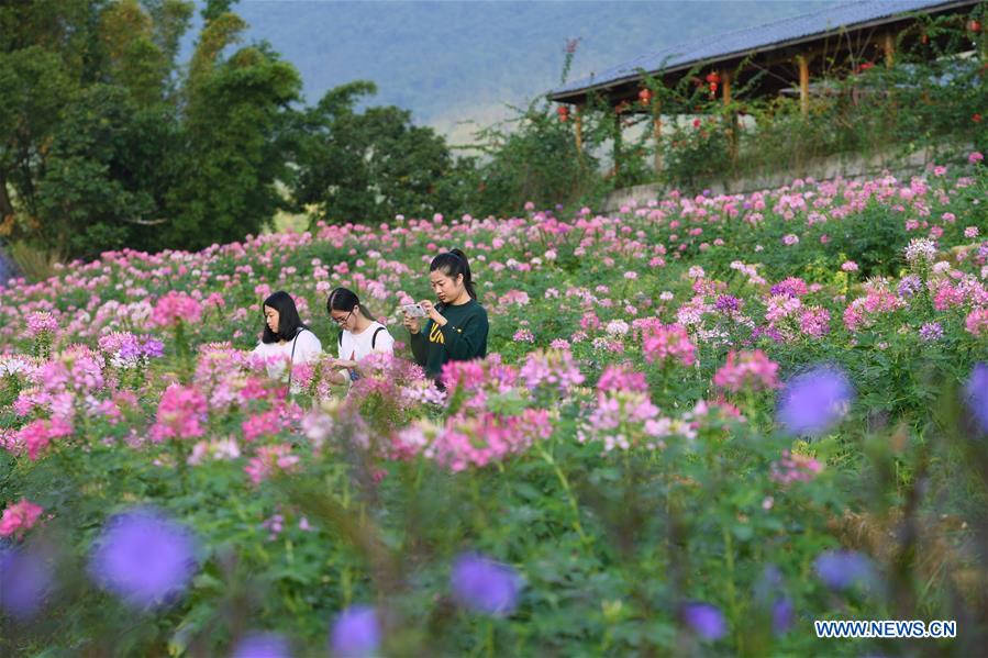 CHINA-FUJIAN-FLOWERS(CN)