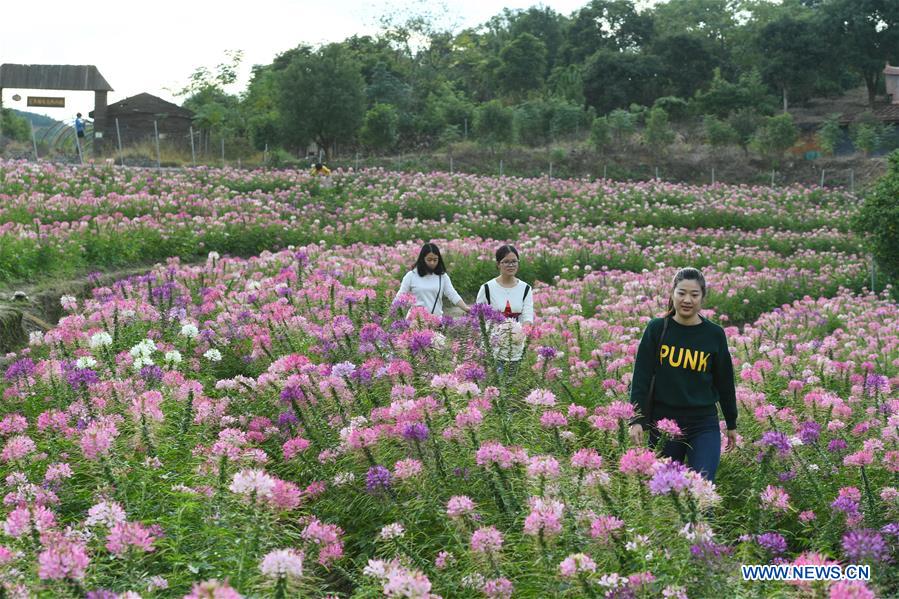 CHINA-FUJIAN-FLOWERS(CN)
