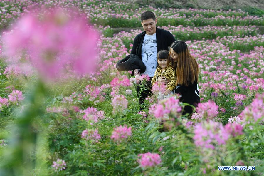 CHINA-FUJIAN-FLOWERS(CN)