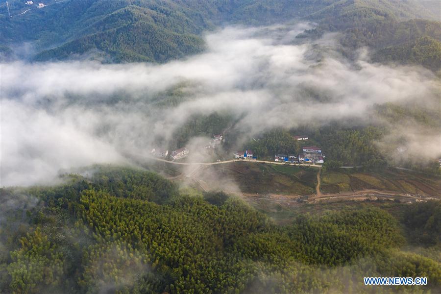 #CHINA-ANHUI-DABIESHAN MOUNTAIN-SCENERY (CN)