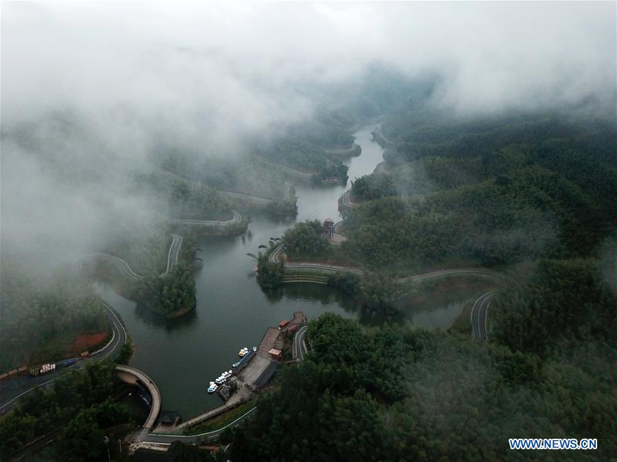 #CHINA-GUIZHOU-CHISHUI-FOREST PARK (CN*) 