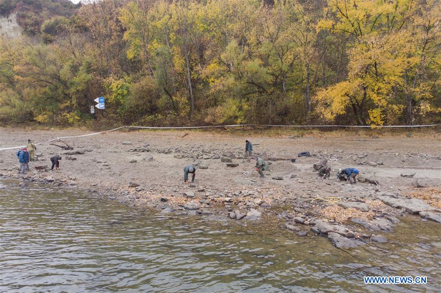 HUNGARY-ERD-LOW WATER LEVEL-ARCHEOLOGY-COINS