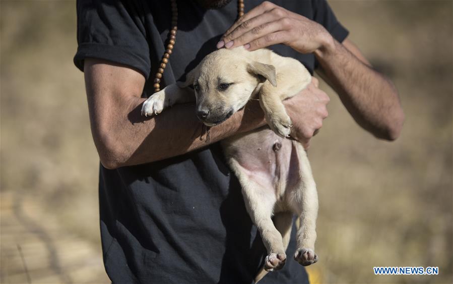 IRAN-KERMANSHAH PROVINCE-NOMADS