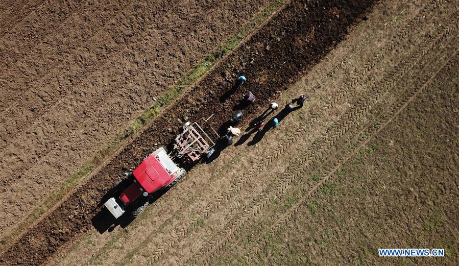 CHINA-GANSU-WEIYUAN-CHINESE HERBAL MEDICINE (CN)