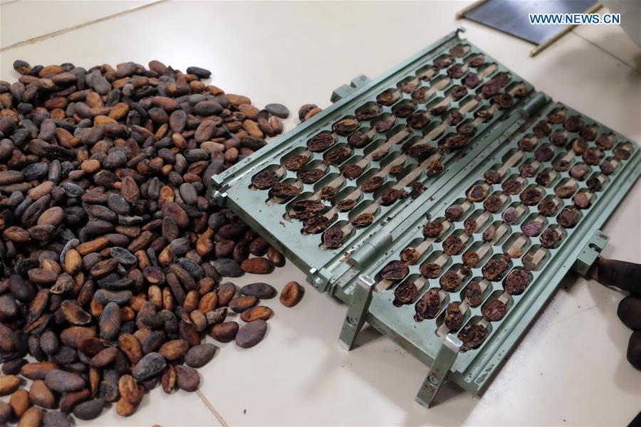 GHANA-TEMA-COCOA-CIIE-FEATURE