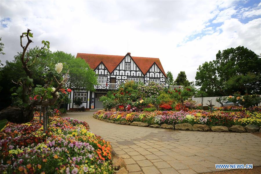 AUSTRALIA-CANBERRA-COCKINGTON GREEN GARDENS